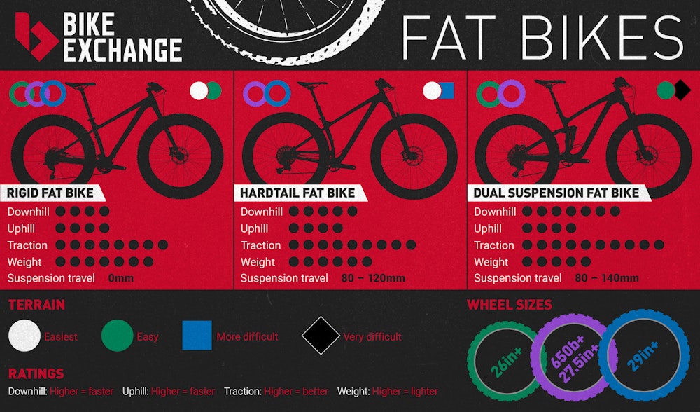 BE Infographics Fat bikes 2017 guide